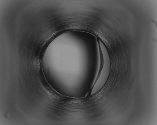 X0000092310160200710051245