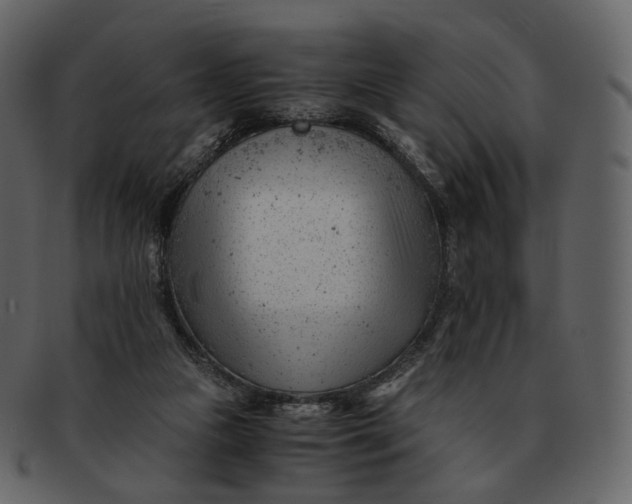 X0000092310161200710051245