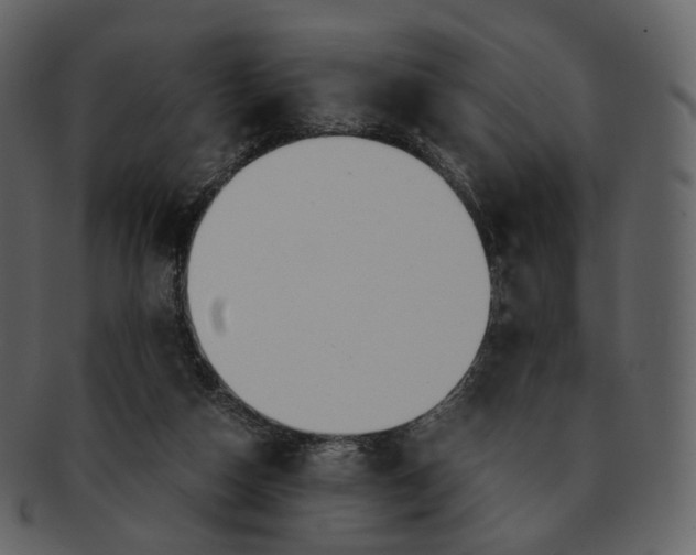 X0000092310162200710051245