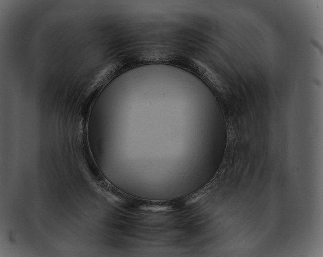 X0000092310163200710051245