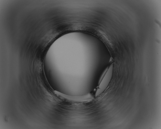 X0000092310164200710051245