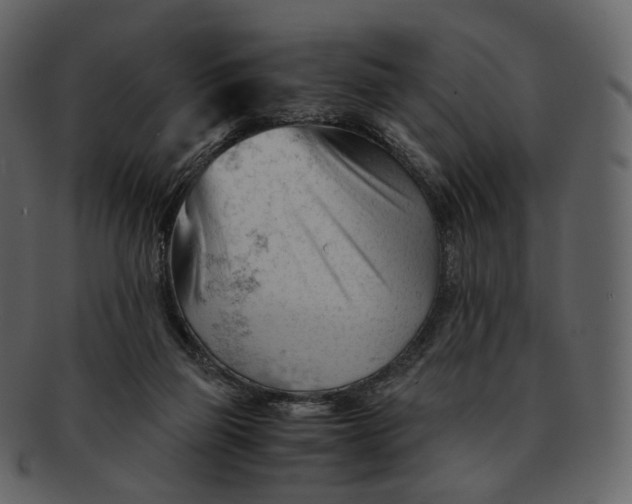 X0000092310165200710051245
