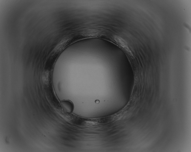 X0000092310167200710051245