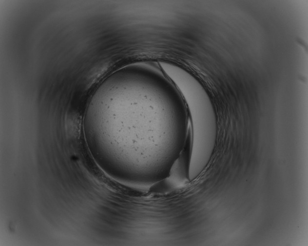 X0000092310168200710051245