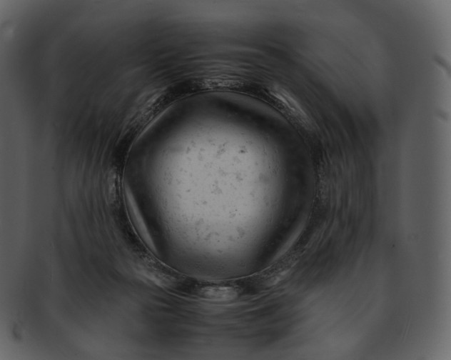 X0000092310169200710051245