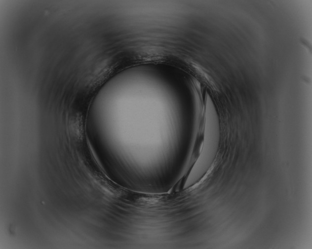 X0000092310170200710051245