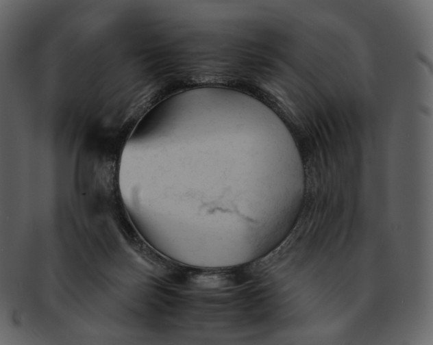 X0000092310171200710051245