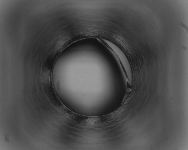 X0000092310172200710051245
