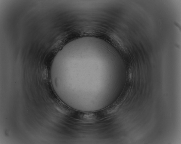 X0000092310173200710051245
