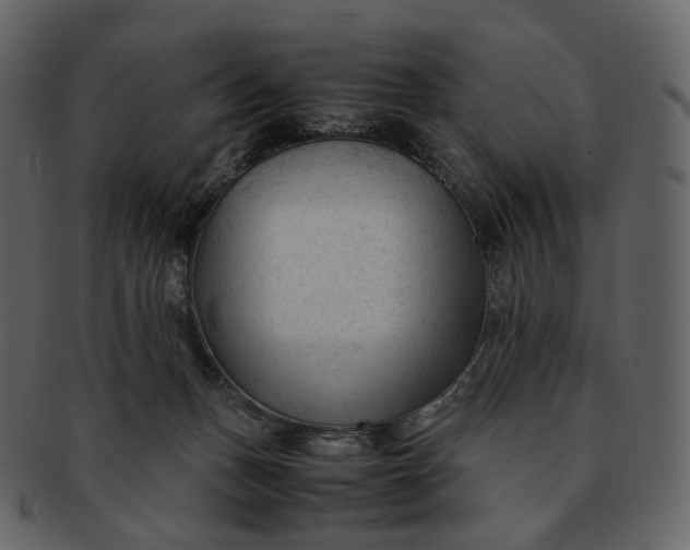 X0000092310175200710051245