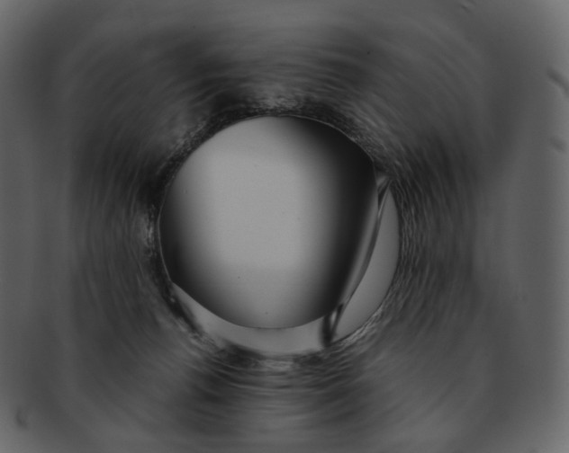 X0000092310176200710051245