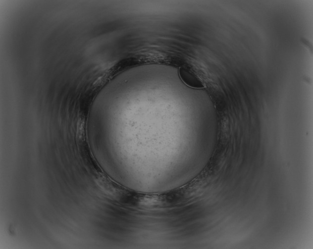 X0000092310177200710051245