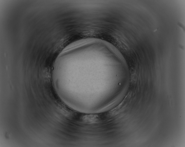 X0000092310179200710051245