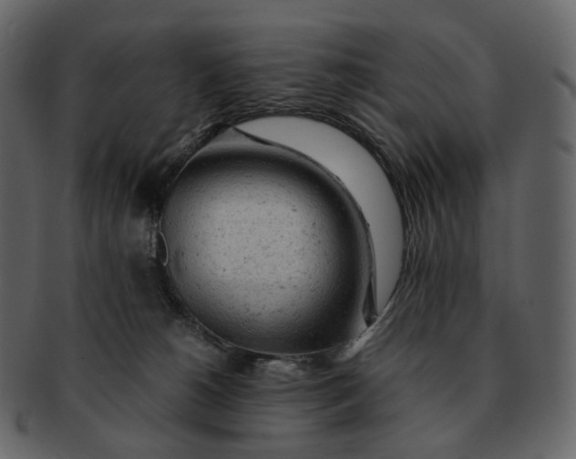 X0000092310180200710051245