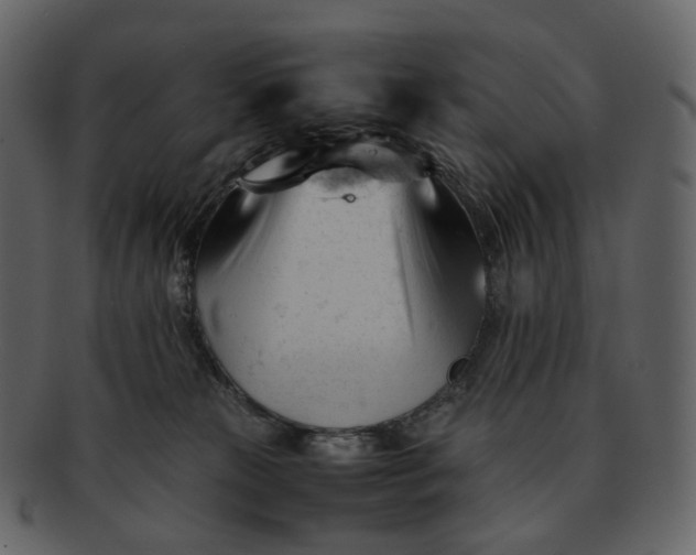 X0000092310181200710051245