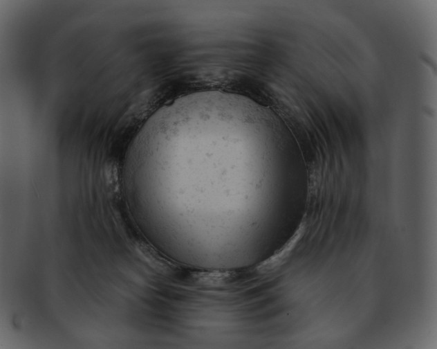 X0000092310182200710051245