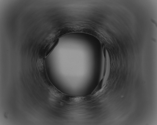 X0000092310184200710051245