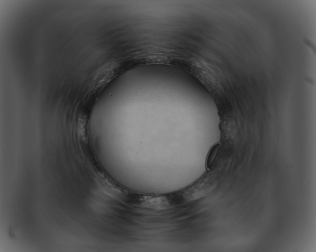 X0000092310185200710051245