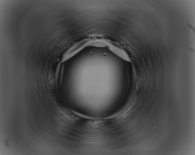 X0000092310186200710051245