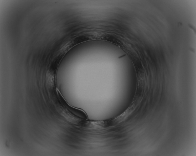 X0000092310188200710051245