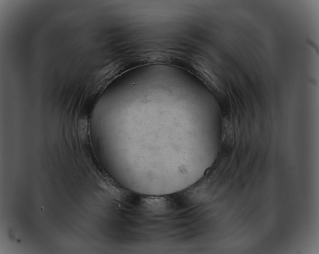 X0000092310189200710051245