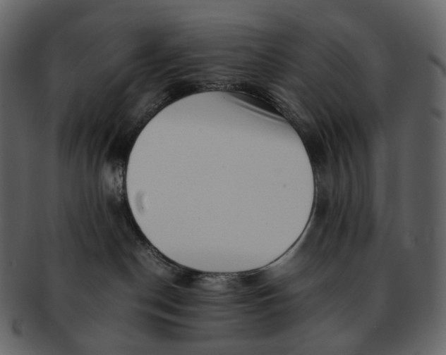 X0000092310190200710051245
