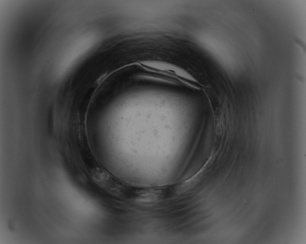X0000092310191200710051245