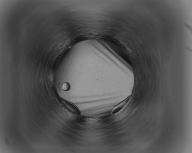 X0000092310192200710051245