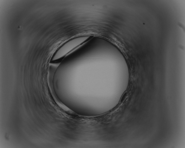 X0000092310193200710051244