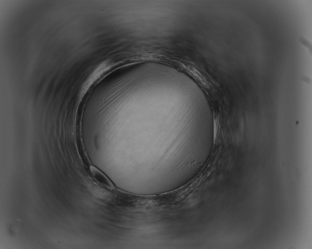 X0000092310195200710051244