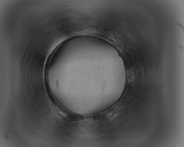 X0000092310196200710051244