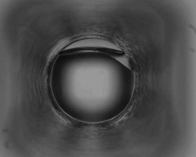 X0000092310197200710051244