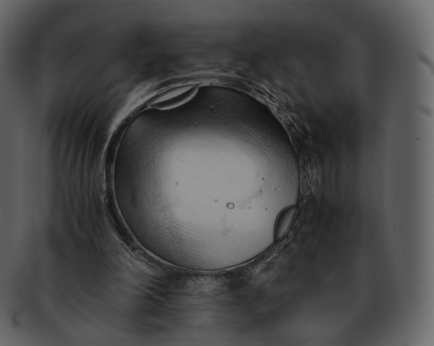 X0000092310198200710051244