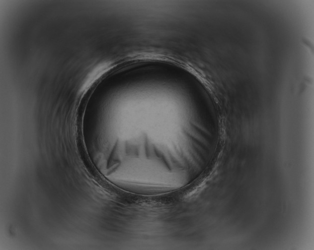 X0000092310199200710051244