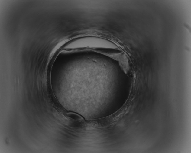 X0000092310200200710051244