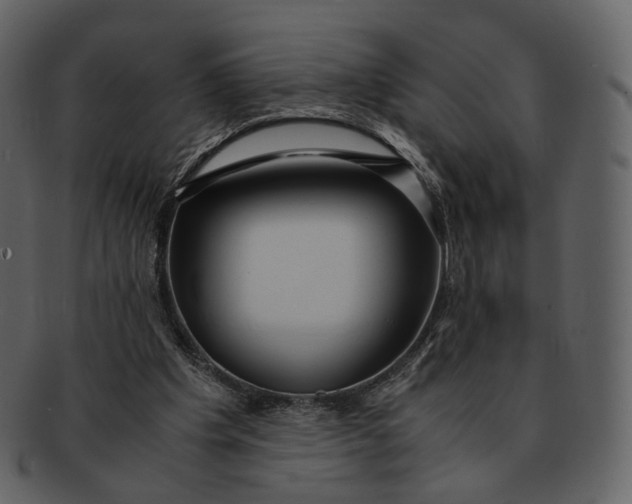 X0000092310201200710051244