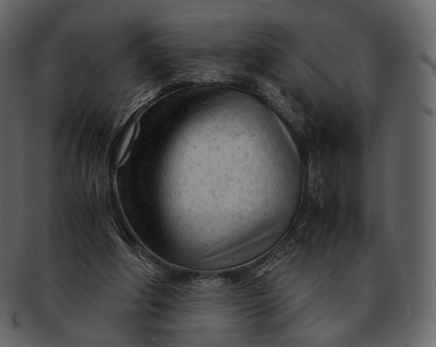 X0000092310202200710051244