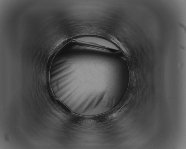 X0000092310203200710051244