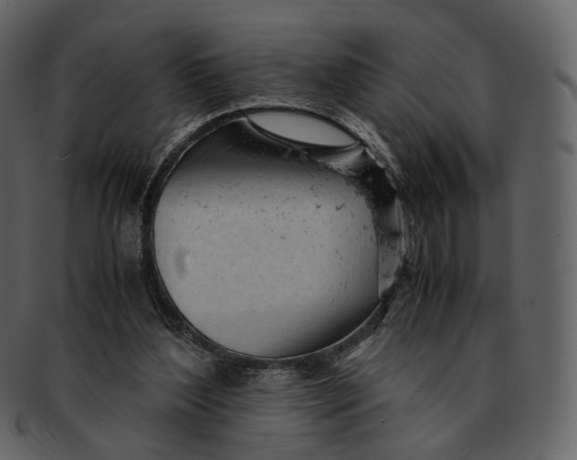 X0000092310204200710051244