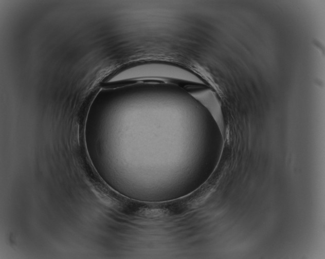 X0000092310205200710051244