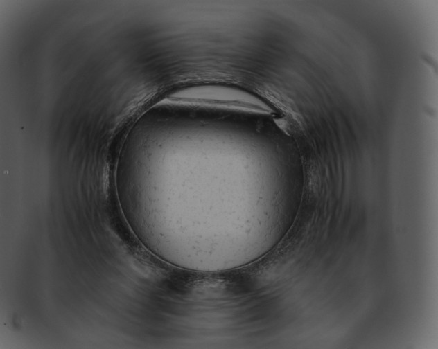 X0000092310206200710051244