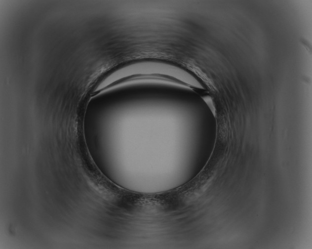 X0000092310207200710051244