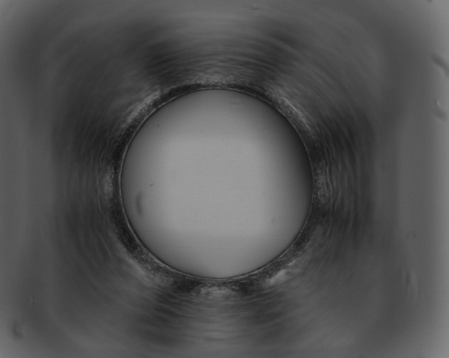 X0000092310208200710051244