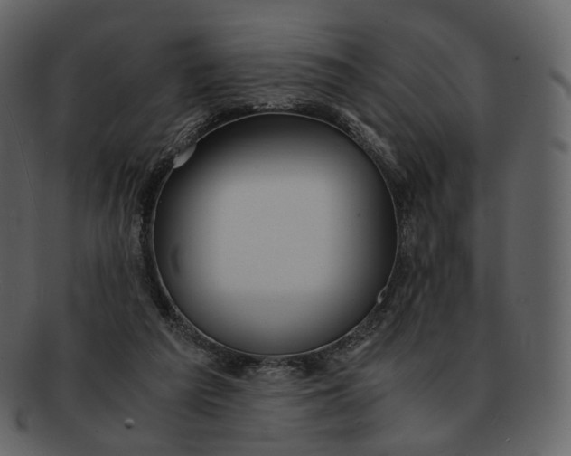 X0000092310209200710051244