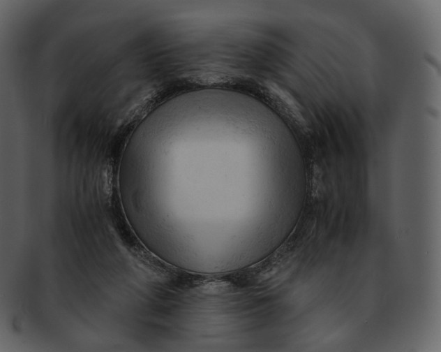 X0000092310210200710051244