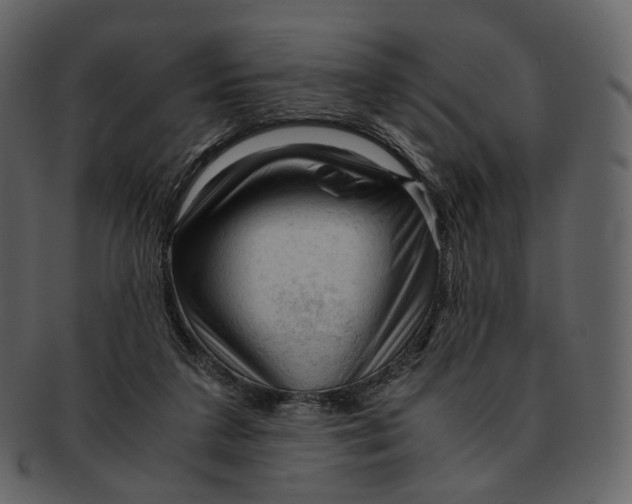 X0000092310211200710051244