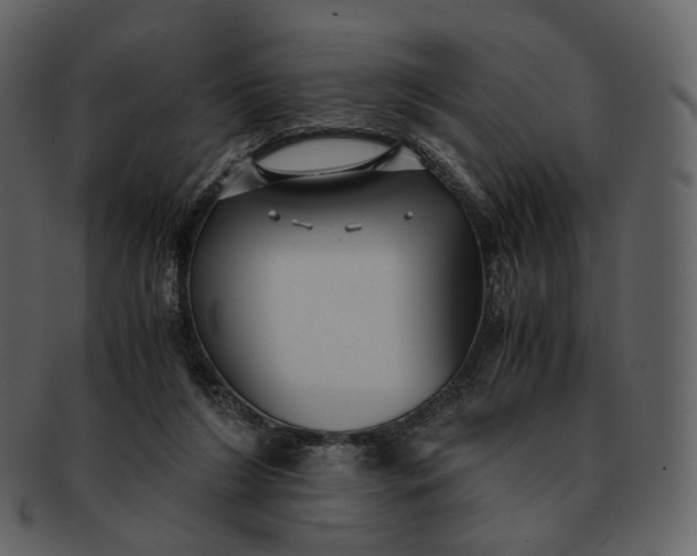 X0000092310212200710051244