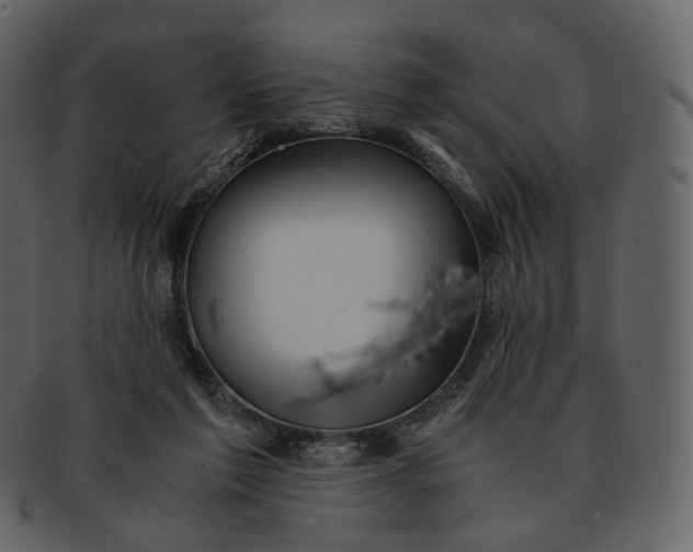 X0000092310213200710051244
