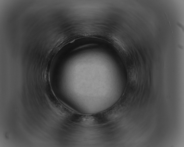 X0000092310214200710051244