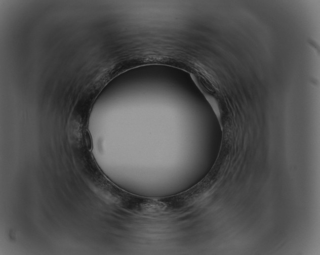 X0000092310215200710051244
